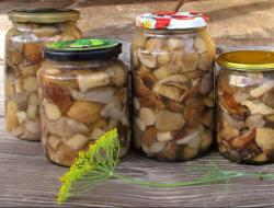 Салат с маринованными грибами: вкусные рецепты